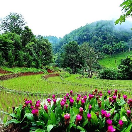 โกวิท กระท่อมปลายนา แม่แจ่ม Ban Mae Pan Noi ภายนอก รูปภาพ