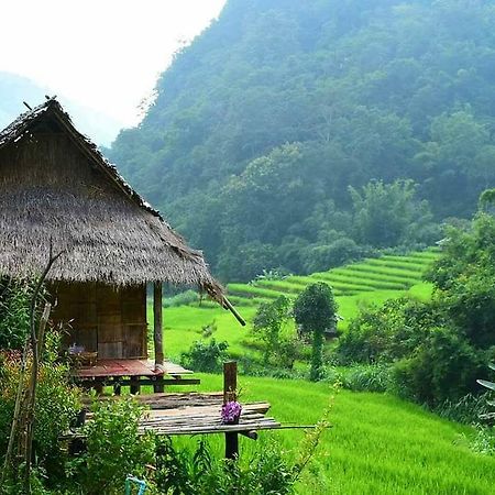 โกวิท กระท่อมปลายนา แม่แจ่ม Ban Mae Pan Noi ภายนอก รูปภาพ