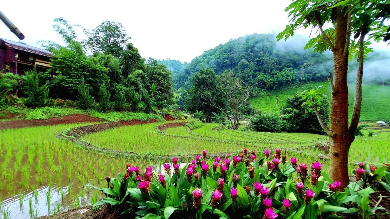 โกวิท กระท่อมปลายนา แม่แจ่ม Ban Mae Pan Noi ภายนอก รูปภาพ
