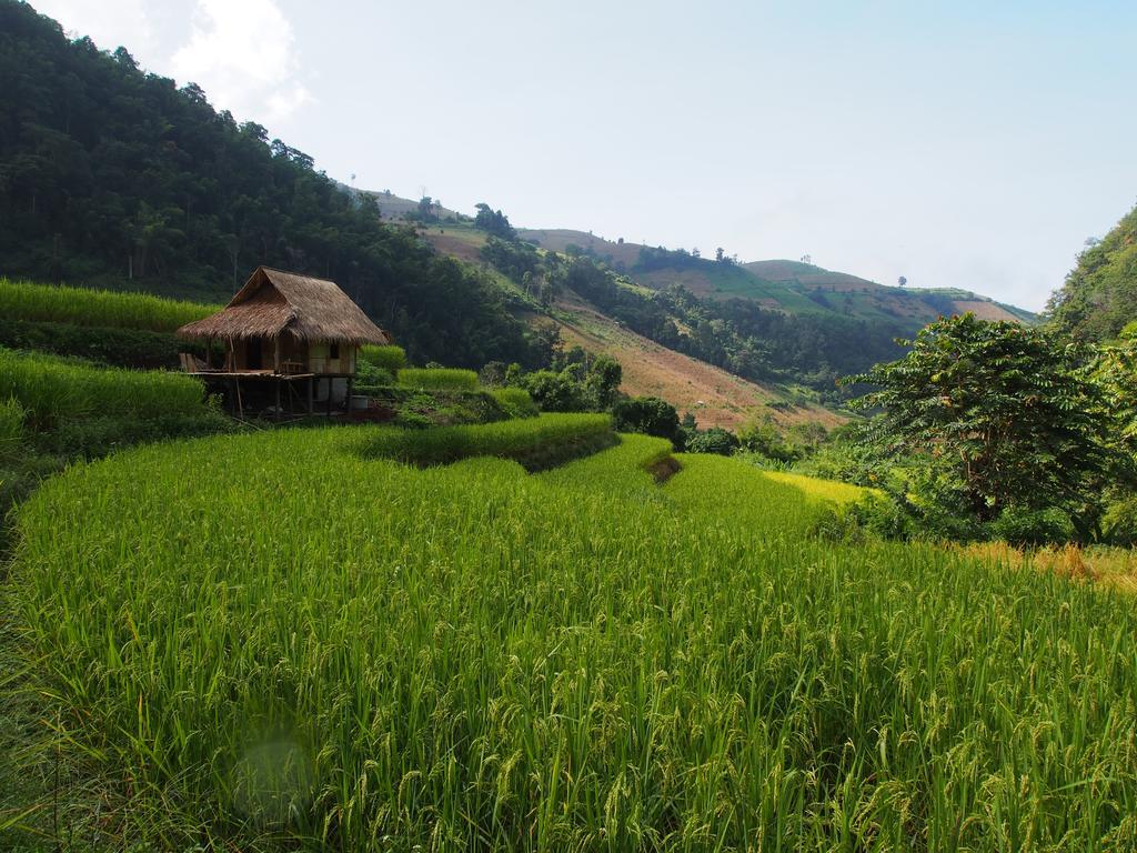 โกวิท กระท่อมปลายนา แม่แจ่ม Ban Mae Pan Noi ภายนอก รูปภาพ