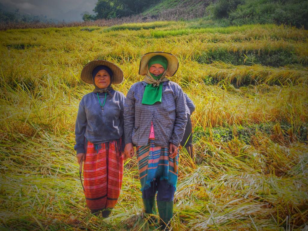 โกวิท กระท่อมปลายนา แม่แจ่ม Ban Mae Pan Noi ภายนอก รูปภาพ
