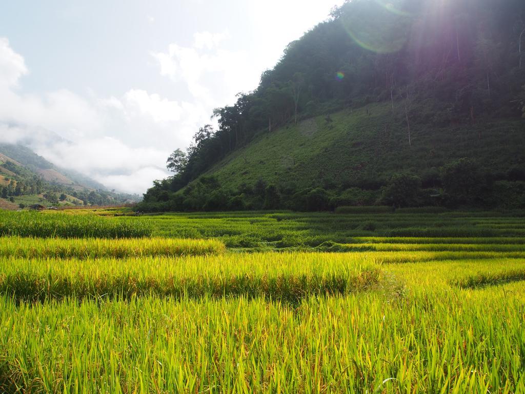 โกวิท กระท่อมปลายนา แม่แจ่ม Ban Mae Pan Noi ภายนอก รูปภาพ