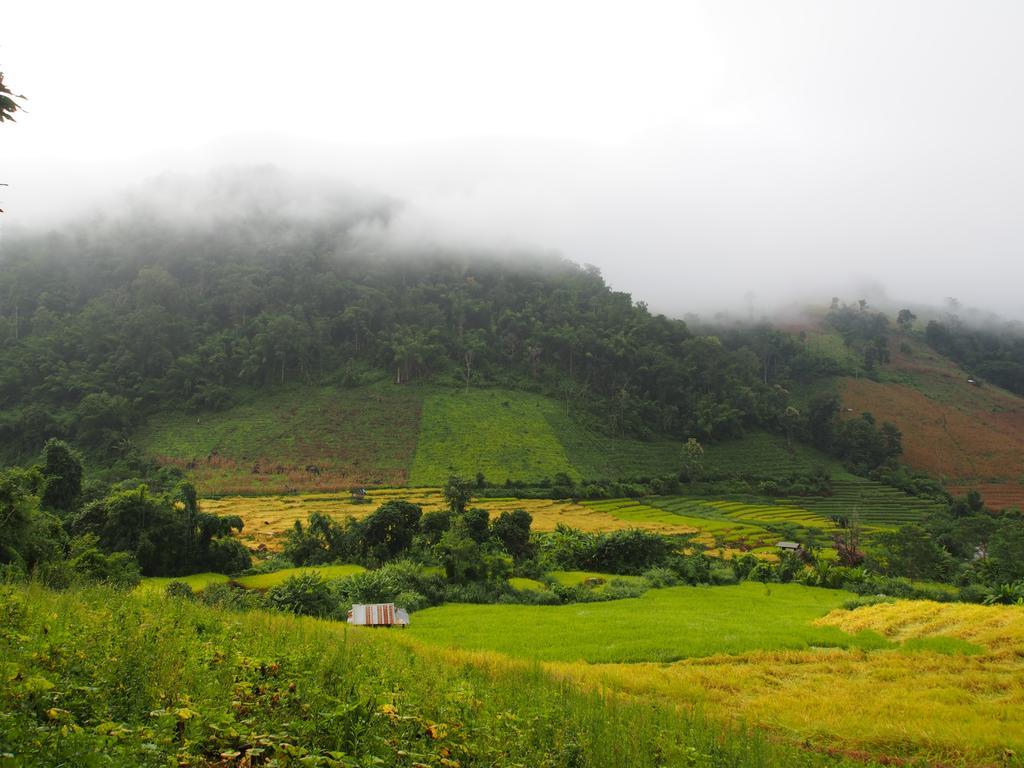 โกวิท กระท่อมปลายนา แม่แจ่ม Ban Mae Pan Noi ภายนอก รูปภาพ