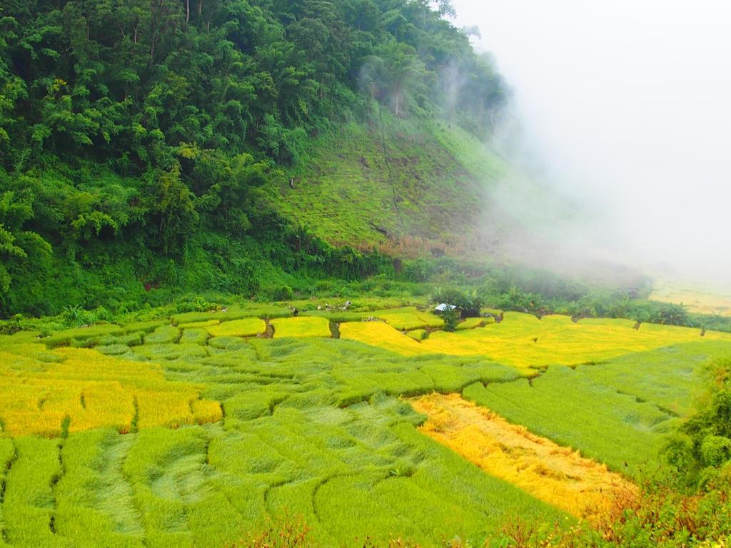 โกวิท กระท่อมปลายนา แม่แจ่ม Ban Mae Pan Noi ภายนอก รูปภาพ