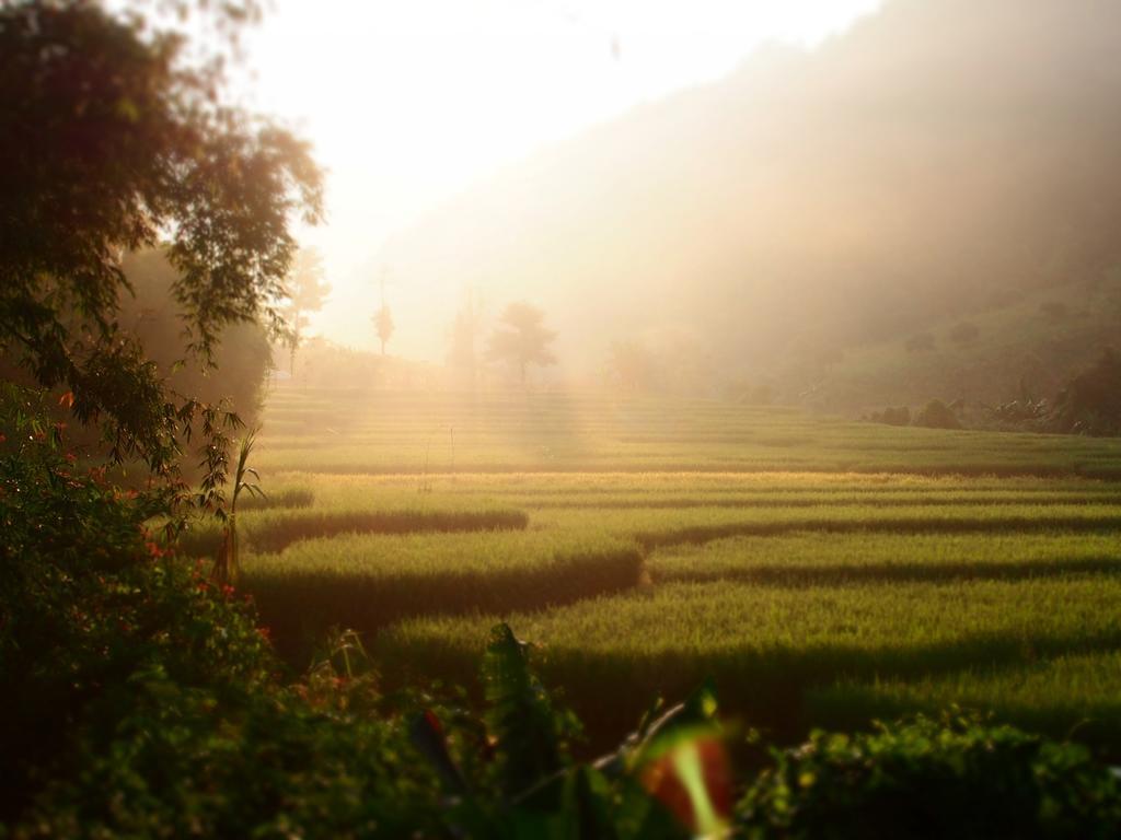 โกวิท กระท่อมปลายนา แม่แจ่ม Ban Mae Pan Noi ภายนอก รูปภาพ