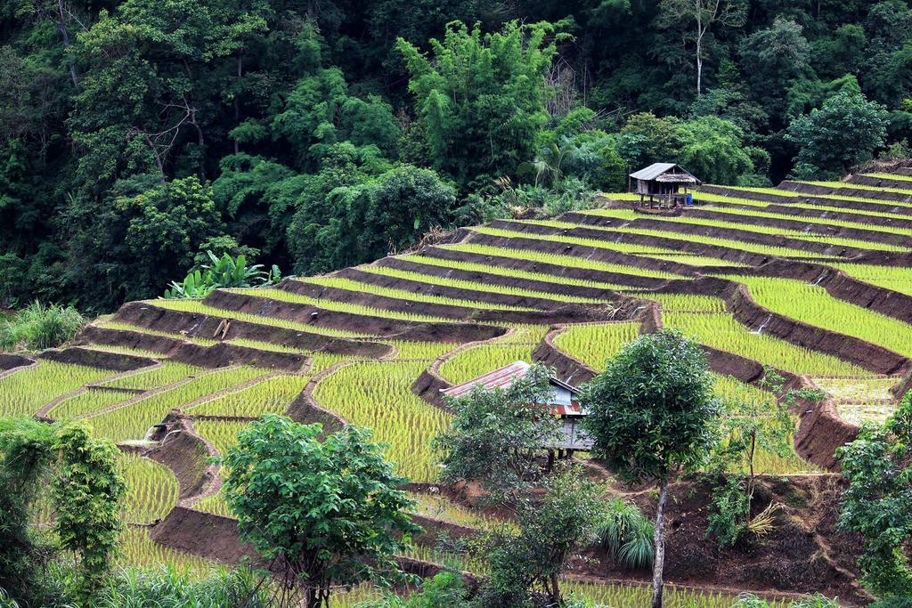 โกวิท กระท่อมปลายนา แม่แจ่ม Ban Mae Pan Noi ภายนอก รูปภาพ