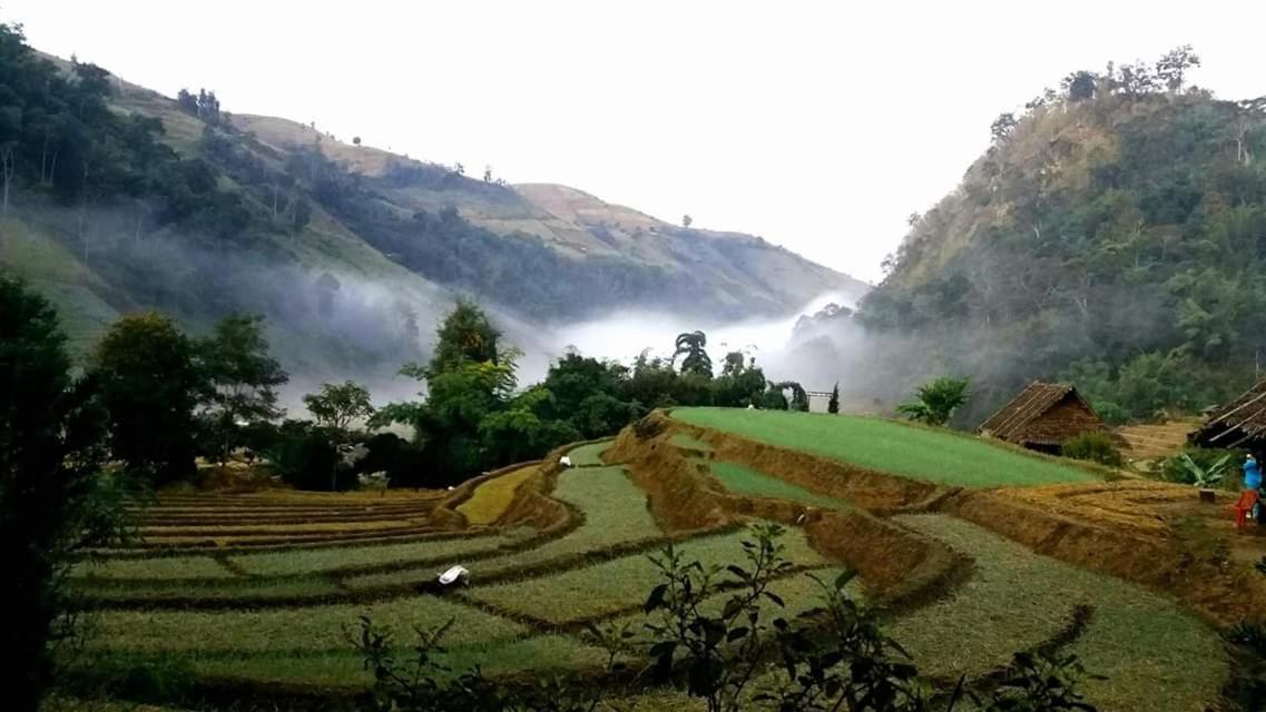 โกวิท กระท่อมปลายนา แม่แจ่ม Ban Mae Pan Noi ภายนอก รูปภาพ